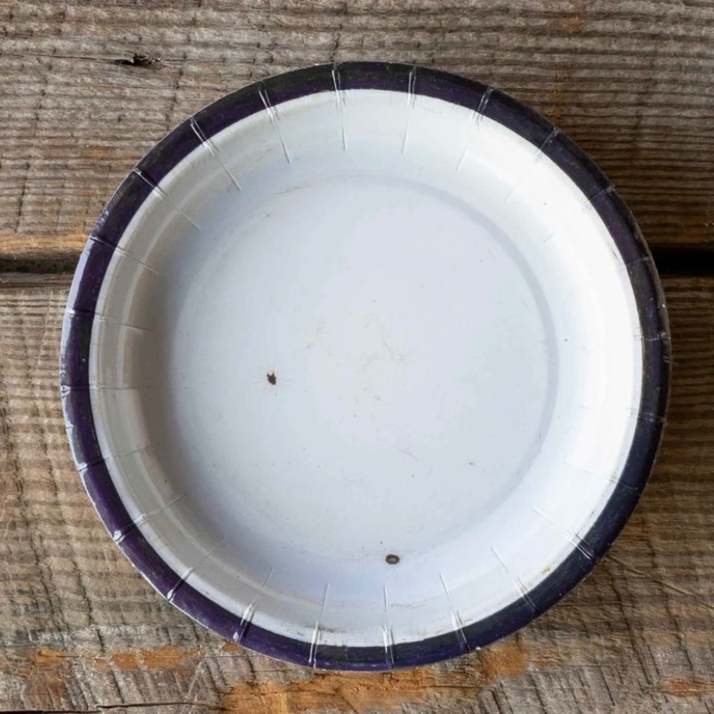 Old Enamel Paper Desert Plate